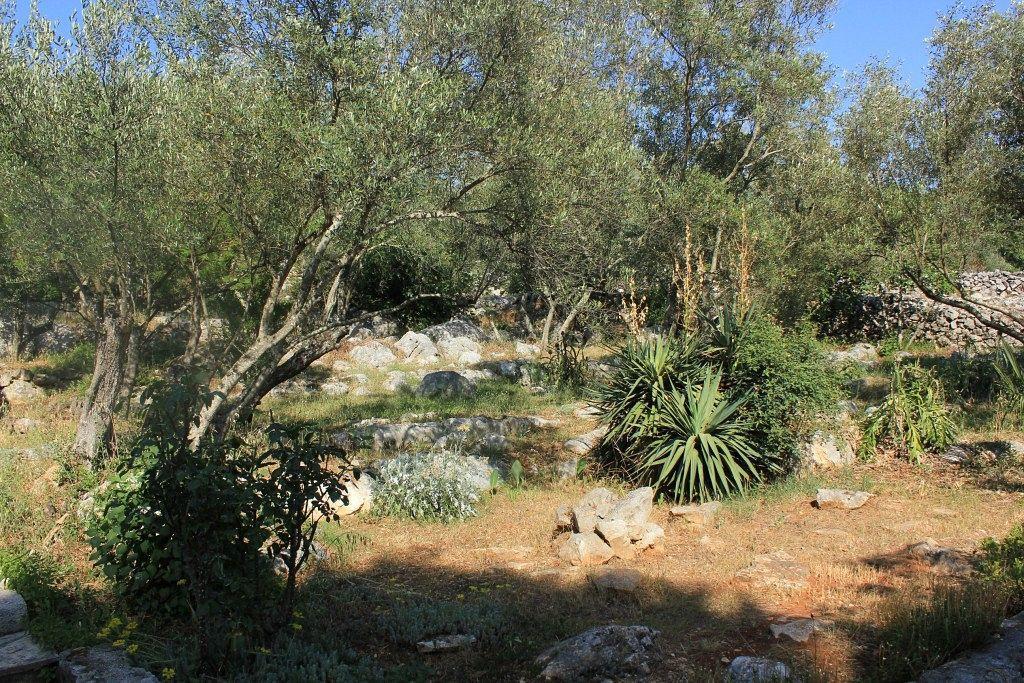 Secluded Fisherman'S Cottage Cove Magrovica - Telascica, Dugi Otok - 8142 Sali Exterior photo